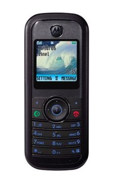 Motorola W205 mobil
