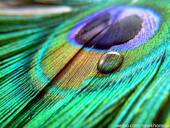 Gyönyörű fotót készít a Meizu MX6!