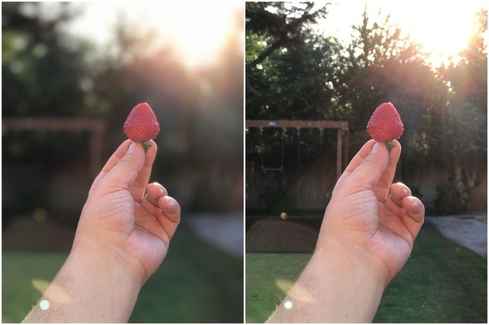 Megérkezett az iPhone 7 Plus kétkamerás portré-módja - képek