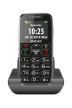 Evolveo EasyPhone EP-500