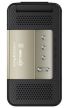 SonyEricsson R306