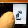 Menő macskás Nokia reklám