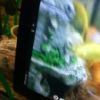 Így úszik a vízben a Sony Xperia Tablet Z