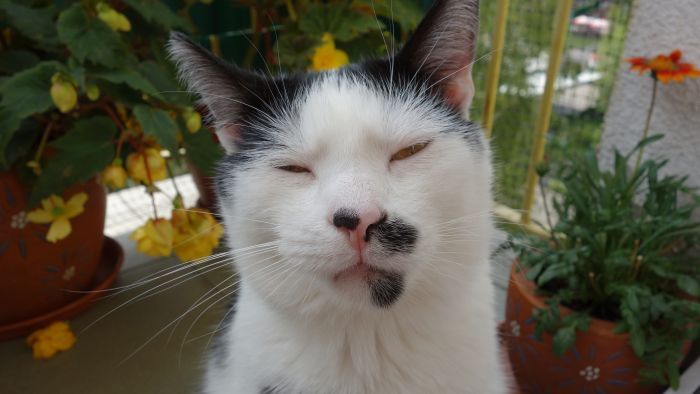 Katt a teljes méretű fotóért! Ez lehet az első LG G3 kamerafotó