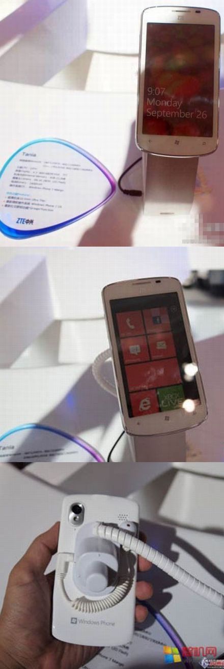 Tania, a ZTE első WP Mango mobilja