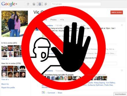 Túl nagy az érdeklődés, leállt a Google+