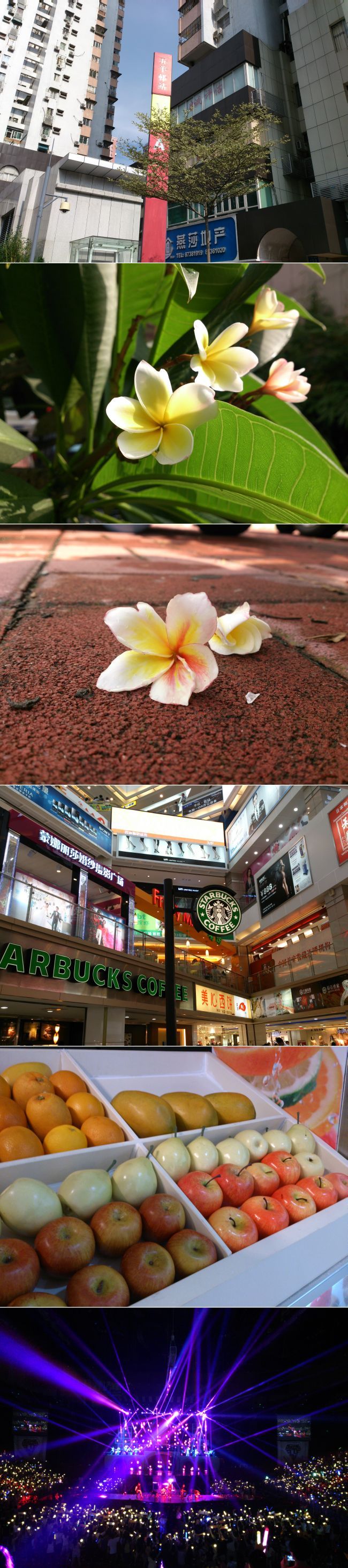 Hayabusa fotó és kameraképek