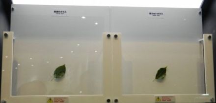 Gorilla Glass után itt a Lotus Glass