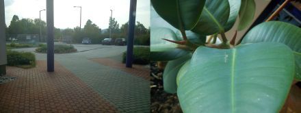 /txt/hirek/kepek/kam1_20100914.jpg /txt/hirek/kepek/kam1_20100914.jpg