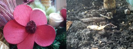 /txt/hirek/kepek/kam2_20100914.jpg /txt/hirek/kepek/kam2_20100914.jpg