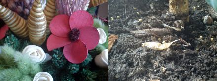 /txt/hirek/kepek/kam3_20100914.jpg /txt/hirek/kepek/kam3_20100914.jpg