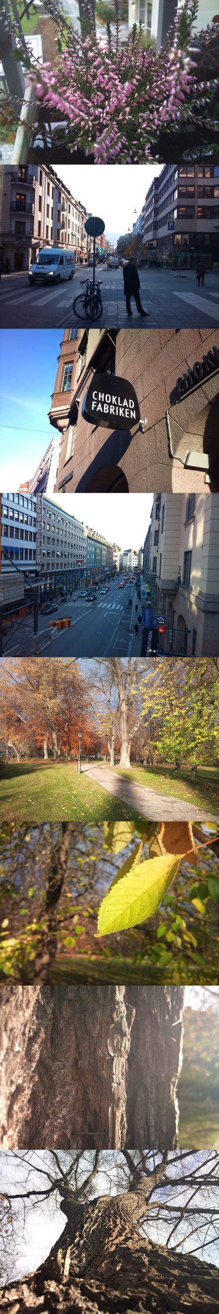 Ilyen fotókat készít a Sony Ericsson Xperia X10