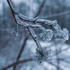 Fotózási és videózási tippek a téli szezonra