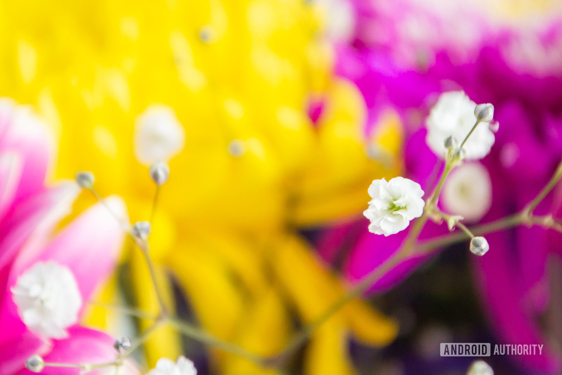 Mi is az a bokeh a fotózásban?