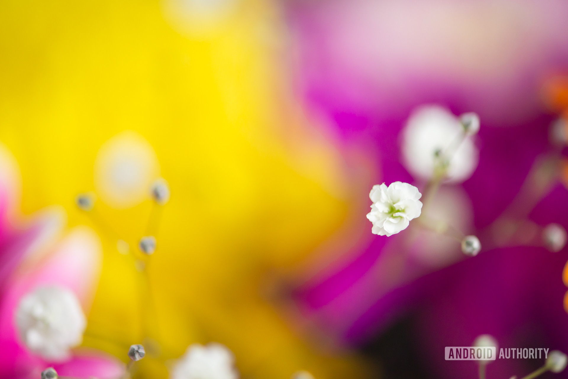 Mi is az a bokeh a fotózásban?