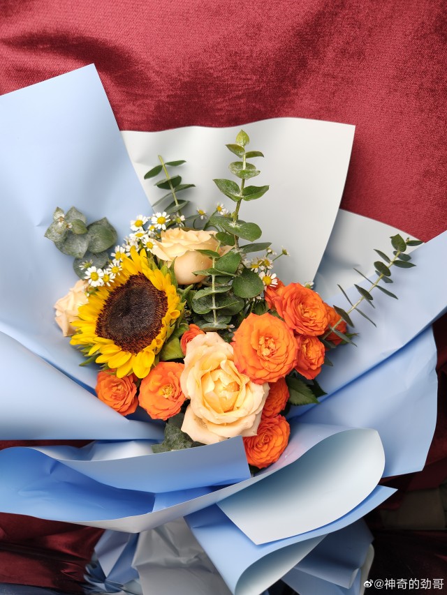 Első 200 MP-es kamera minta a Moto Edge 30 Ultra-tól