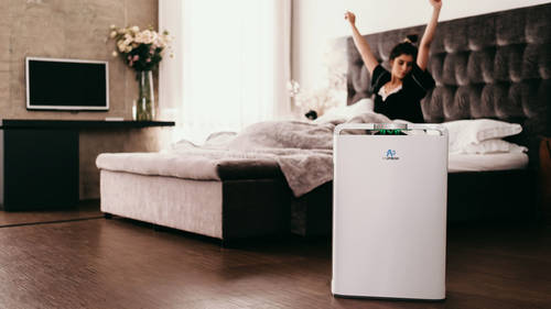 Tiszta és egészséges levegőre vágysz zárt térben is?