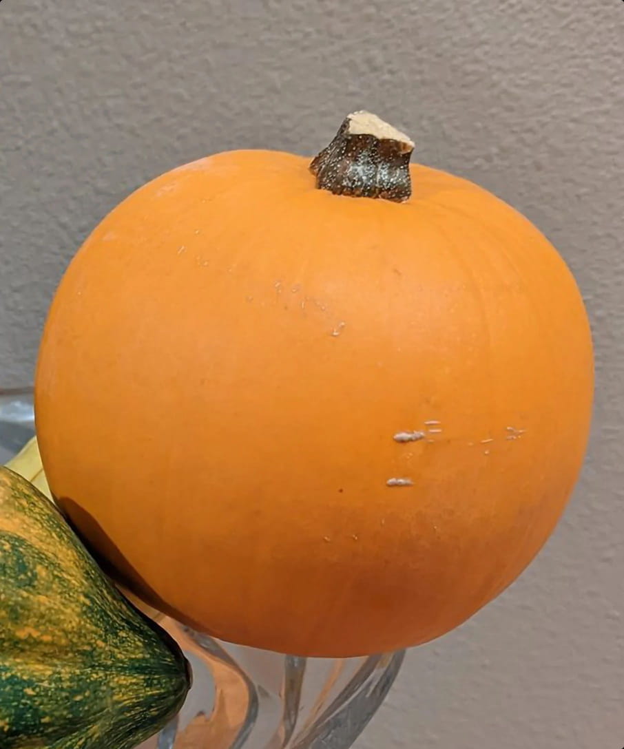 Itt az első Galaxy S23 Ultrával lőtt fotó