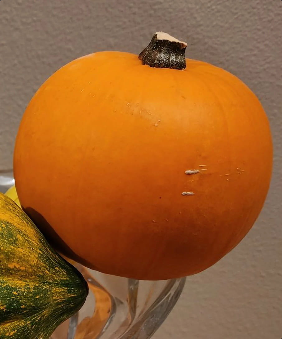 Itt az első Galaxy S23 Ultrával lőtt fotó