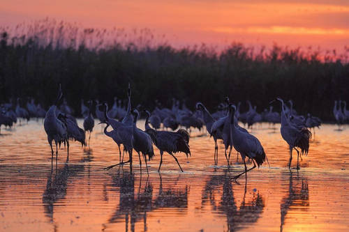 Izgalmas őszi programra vársz? Vár a természet!