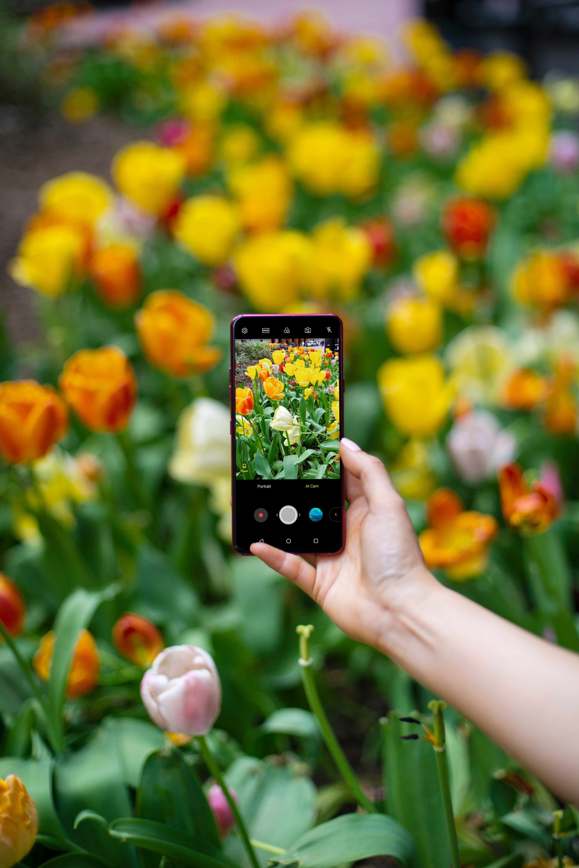 Többet fotózunk, mint telefonálunk