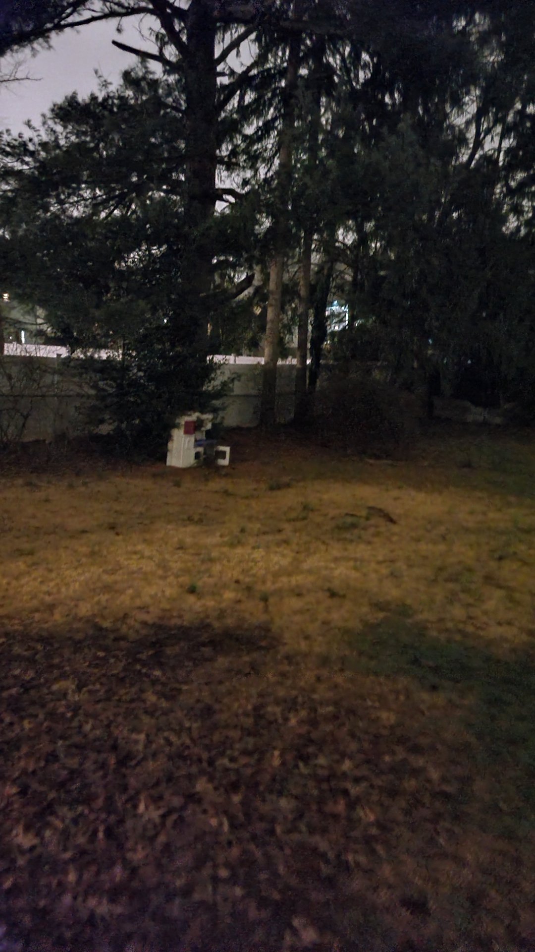 Galaxy S10 vs S20 éjszakai fotók