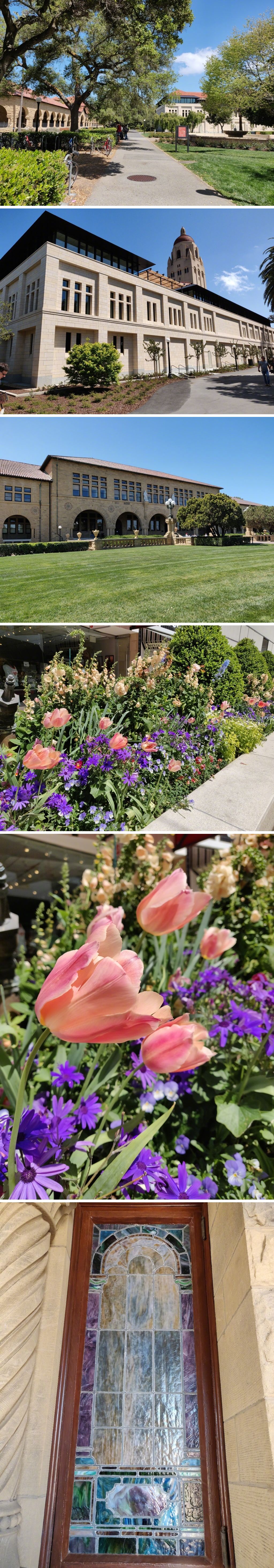 Ilyen fotókat készít a OnePlus 6