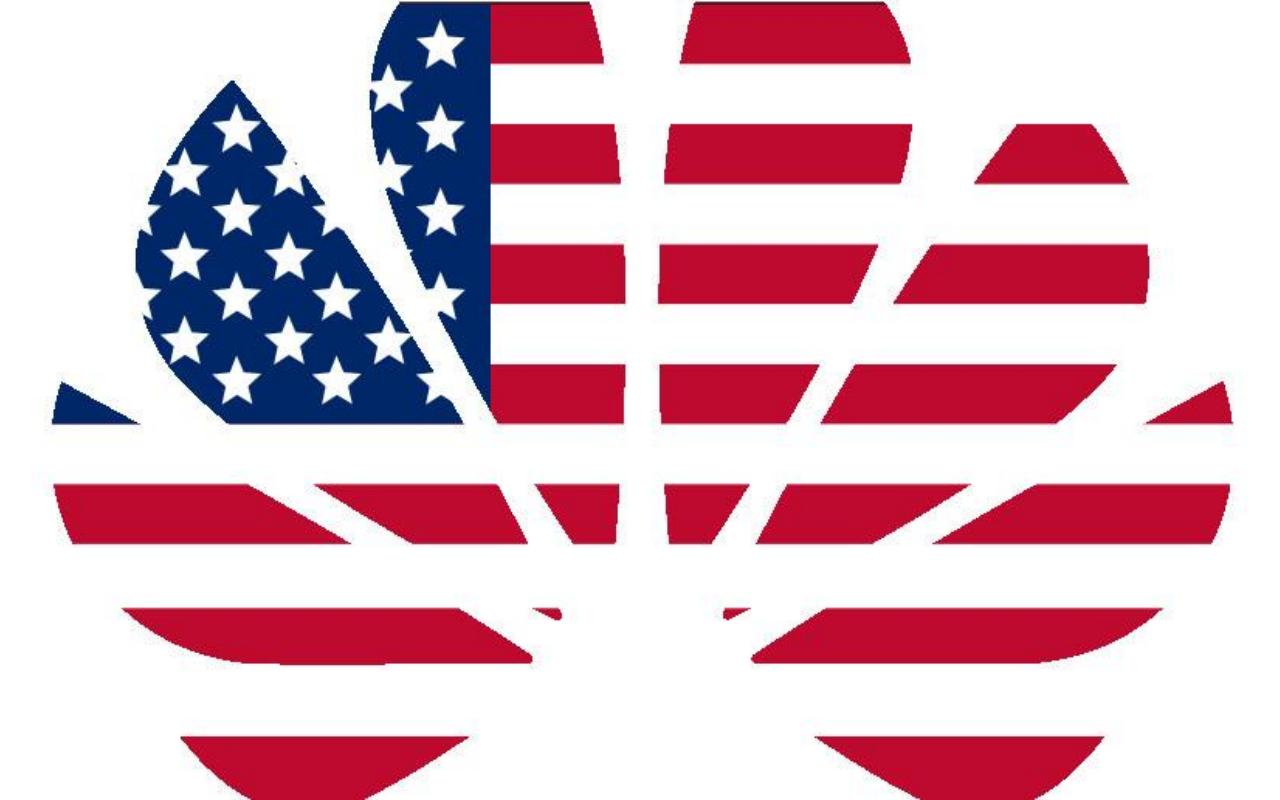 2019 áttekintés: csúcsok és mélypontok a mobilpiacon