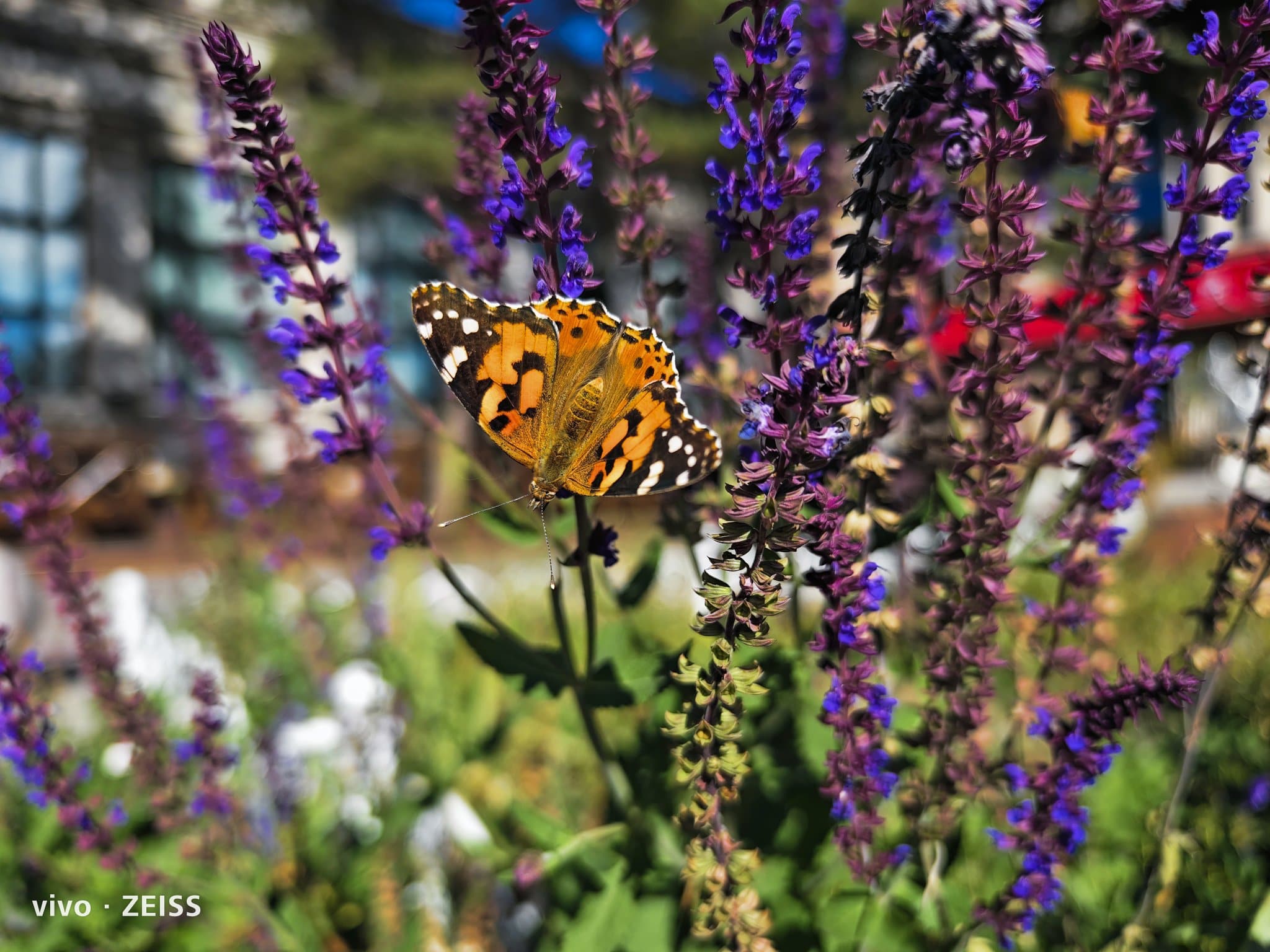 Íme néhány fotó, amelyet a vivo X90 Pro+ készülékkel készítettek!